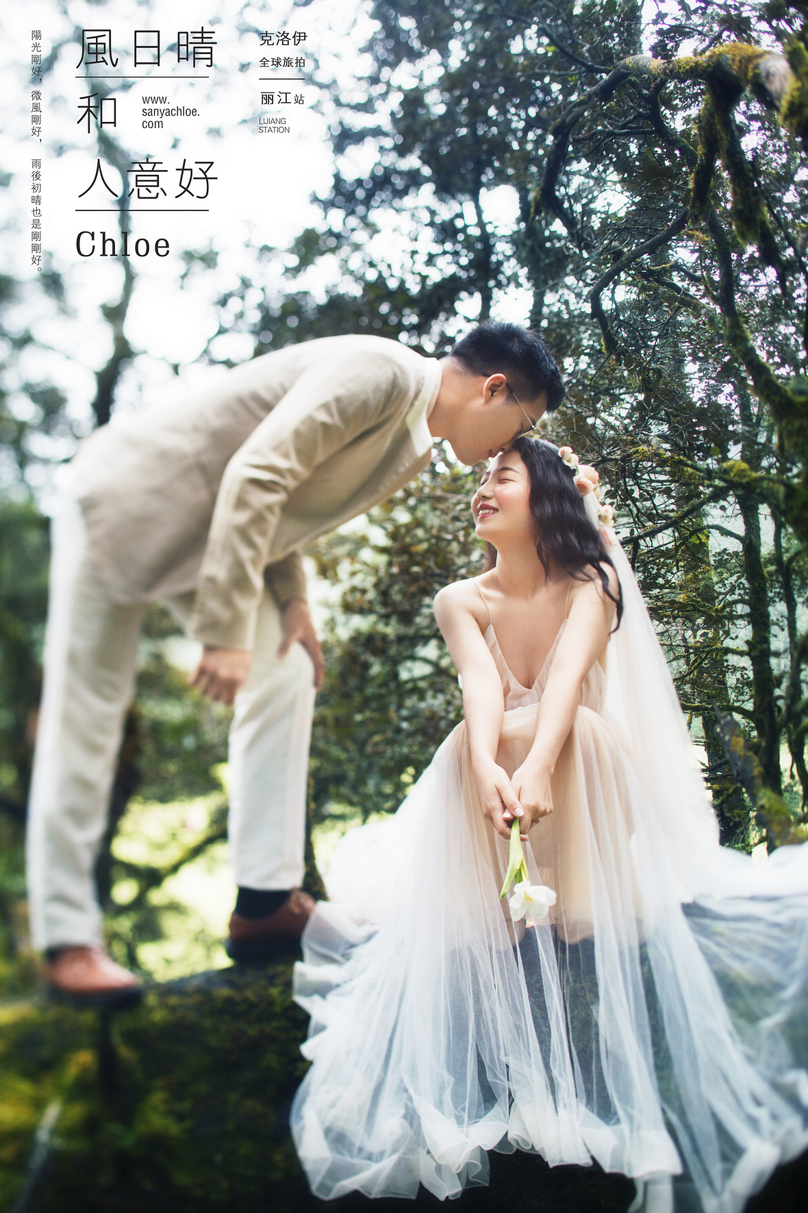 姚先生&郑女士