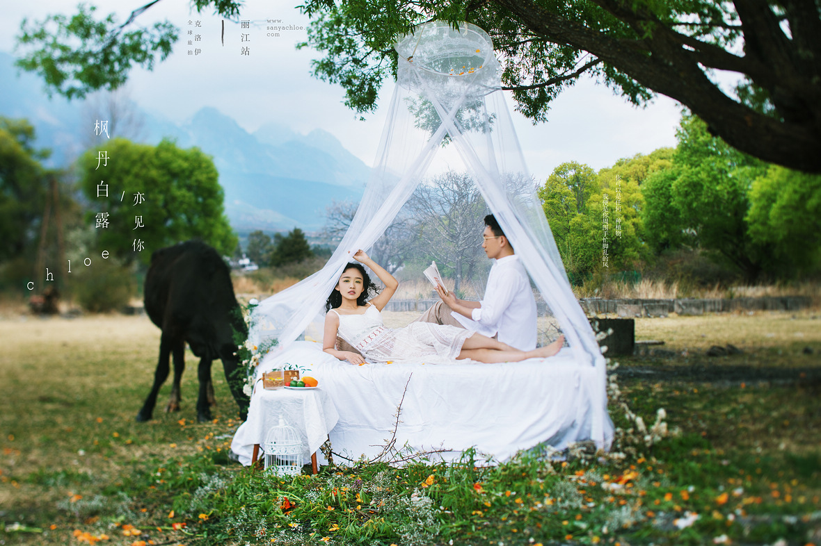 「煮茶赏花 拥抱自然」的婚纱照，才是真正的诗和远方